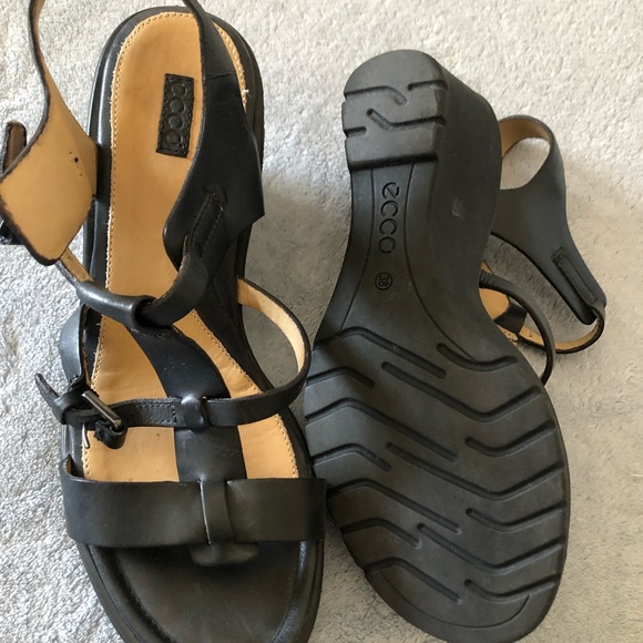 Ecco - Picture 2 of 5